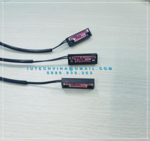 CẢM BIẾN RS-1